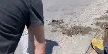 Yalova’da anne kedi ve dört yavrusu sıkıştıkları yağmur suyu kanalından kurtarıldı