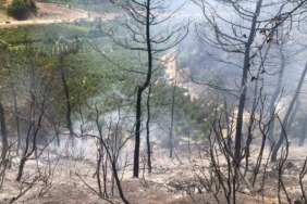 Bilecik’te orman yangını ekipler tarafından söndürüldü