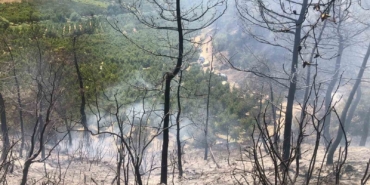 Bilecik’te orman yangını ekipler tarafından söndürüldü