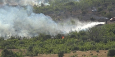 Kırklareli’nde ağaçlık alanda yangın: 150 dekar alan zarar gördü