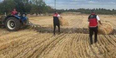Tarım Müdürlüğü ekipleri yangın sonrası üreticilerin yanında