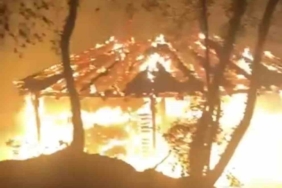 Bursa’da piknikçilerin söndürmeden bıraktığı ateş ormanı küle çeviriyordu