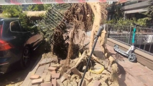 Şişli’de park halindeki araçların üzerine ağaç devrildi