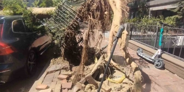 Şişli’de park halindeki araçların üzerine ağaç devrildi