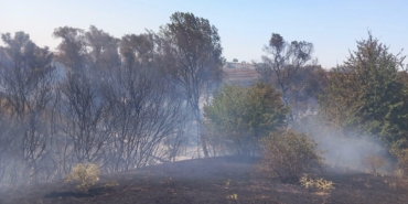 Muratlı’da anız yangını