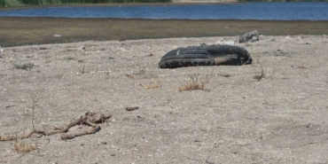 Tekirdağ’da gölette su seviyesi alarm veriyor