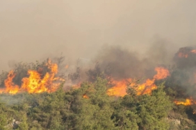 Kocaeli itfaiyesinden Sakarya’ya destek
