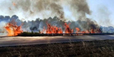 Sakarya’da otluk alanda korkutan yangın