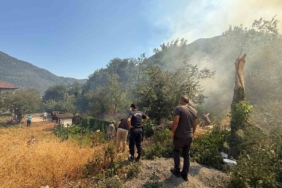 Sakarya’da alevlere müdahale sürüyor: Nuruosmaniye Mahallesi boşaltıldı