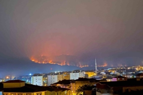 Bilecik’teki yangında alevler ilçe merkezine doğru ilerliyor