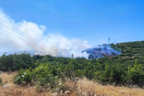 İnegöl’deki orman yangını kontrol altına alındı