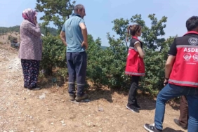 Orman yangını sonrası psikososyal destek hızla verildi