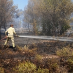 Burhaniye’de orman yangınına havadan ve karadan müdahale ediliyor
