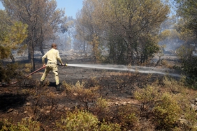 Burhaniye’de orman yangınına havadan ve karadan müdahale ediliyor