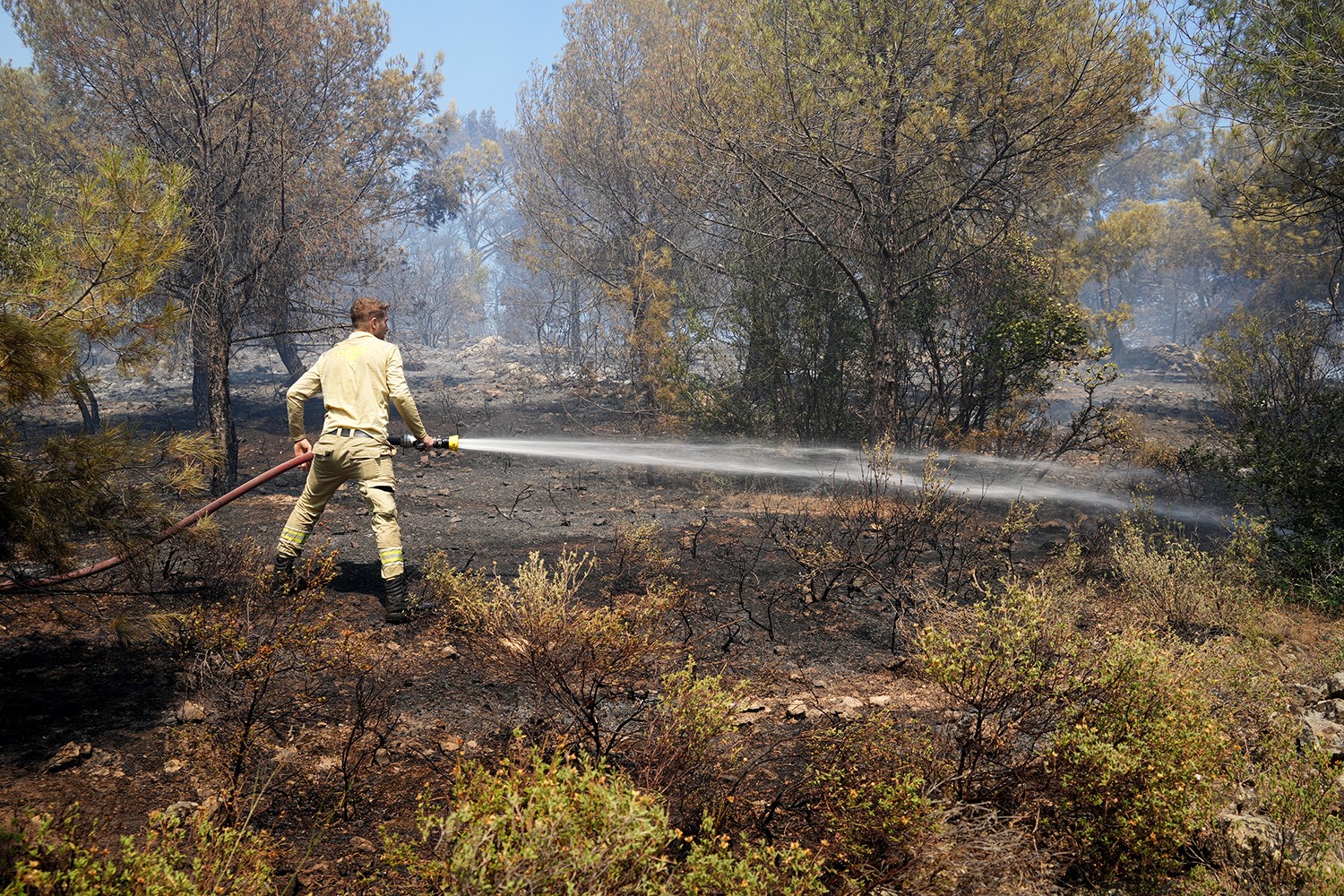 Burhaniye’de orman yangınına havadan ve karadan müdahale ediliyor