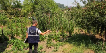 Kesintilere sebep olan kaçak kullanımı engellemek için ekipler 24 saat sahada