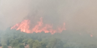 Bursa-Balıkesir sınırında orman yangını: Köy tahliye edildi, ekipler seferber oldu