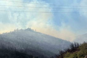 Kocaeli Büyükşehir Belediye Başkanı Büyükakın, orman yangınındaki son durumu açıkladı