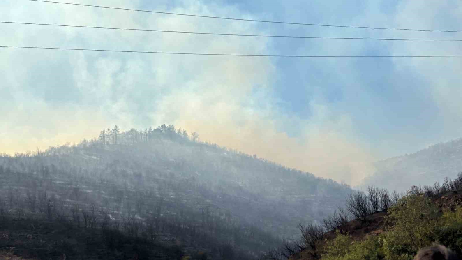 Kocaeli Büyükşehir Belediye Başkanı Büyükakın, orman yangınındaki son durumu açıkladı