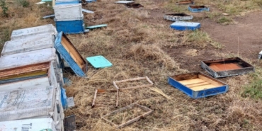 Hayrabolu’da hortum, arı kovanlarına zarar verdi: 163 kovan devrildi