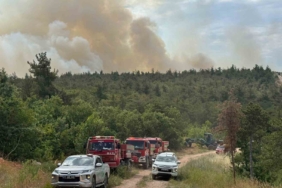 Bilecik’te orman yangını başladı