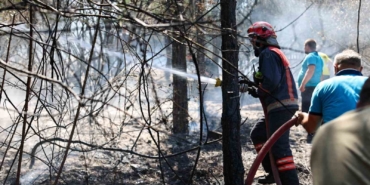 Orman yangınlarına karşı uyarı: Küçük bir ihmalle, büyük felaketler yaşatmamak için bunlara dikkat