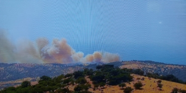 Ayvacık’ta başlayan orman yanınına müdahale ediliyor