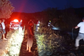 Erdek’te böğürtlenlik alanda çıkan yangın söndürüldü