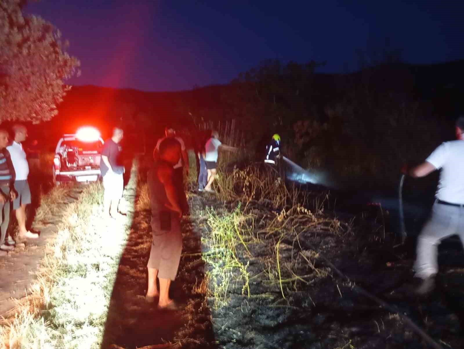 Erdek’te böğürtlenlik alanda çıkan yangın söndürüldü