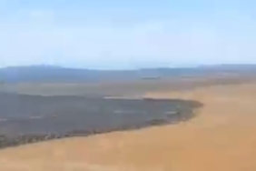 Balıkesir’de tarla yangını sonrası üzücü manzara