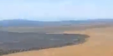 Balıkesir’de tarla yangını sonrası üzücü manzara