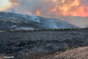 Bandırma OSB yakınlarındaki arazi yangını söndürüldü