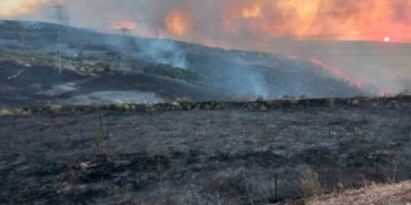 Bandırma OSB yakınlarındaki arazi yangını söndürüldü