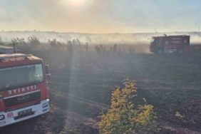 Susurluk’taki orman yangını kontrol altına alındı