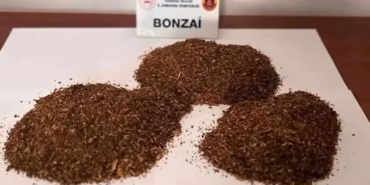 "Narkokapan-Tekirdağ" operasyonlarında 65 şüpheli yakalandı