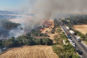 Devasa alevler uluslararası yolu trafiğe kapattı