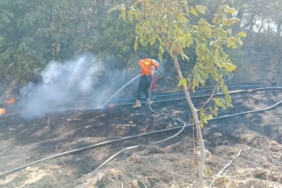 Gönen’de ormanlık alanda çıkan yangın söndürüldü