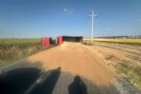 Buğday yüklü kamyon devrildi, sürücü yaralandı