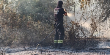 Malkara’da ormana sıçrayan anız yangını kontrol altına alındı