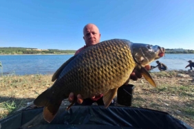 (ÖZEL) Yakaladıkları devasa sazanları yeniden suya bıraktılar