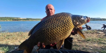(ÖZEL) Yakalandıkları devasa sazanları yeniden suya bıraktılar