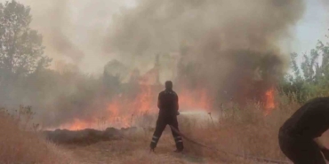 Anız yangını ağaçlık alana sıçradı