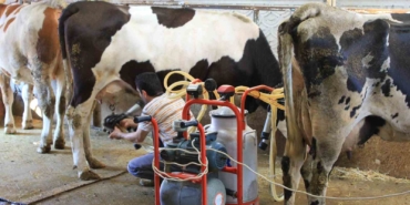 TÜSEDAD’dan çiğ sütte maliyet konusunda iş birliği çağrısı