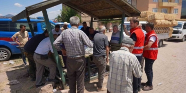 Bilecik Belediyesi çalışanları yangın bölgesindeki çalışmalarını sürdürüyor