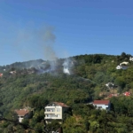Beykoz’da bulunan ormanlık alanda yangın çıktı. Olay yerine çok sayıda itfaiye ekibi sevk edildi.