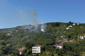 Beykoz’da bulunan ormanlık alanda yangın çıktı. Olay yerine çok sayıda itfaiye ekibi sevk edildi.