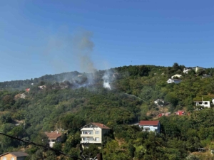 Beykoz’da bulunan ormanlık alanda yangın çıktı. Olay yerine çok sayıda itfaiye ekibi sevk edildi.