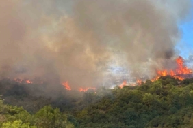 Kocaeli’de orman yangını çıktı