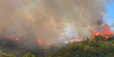 Kocaeli’de orman yangını çıktı