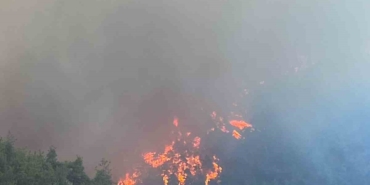 Bursa’nın ciğerleri yanıyor